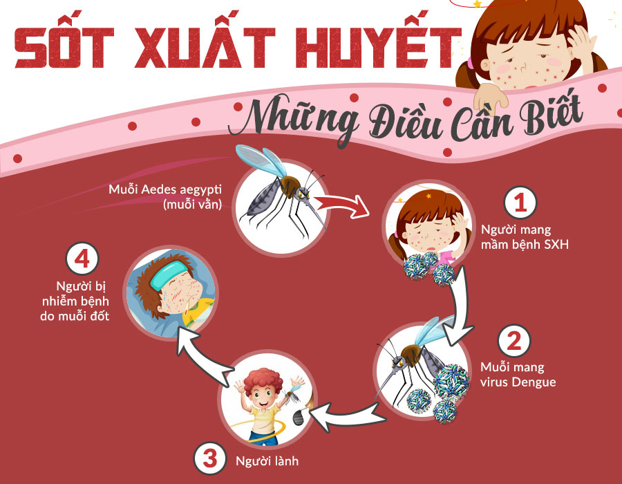Những lưu ý khi bị sốt xuất huyết